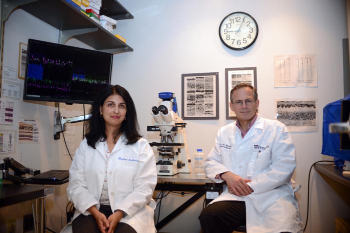 innovative-therapies-target-advanced-stage-retinal-degenerations