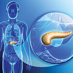 first-vascularized-organoid-model-of-stem-cell-derived-pancreatic-islets