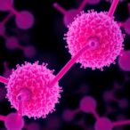 pd-1-inhibitors-extend-survival-post-chemo-progression