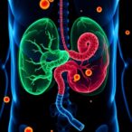 testing-tislelizumab-plus-capecitabine-for-biliary-cancer