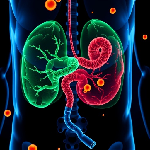 testing-tislelizumab-plus-capecitabine-for-biliary-cancer