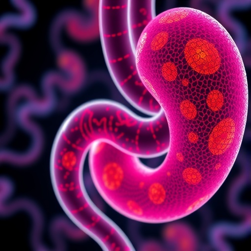 hmga2-and-leucine-methylation-fuel-pancreatic-cancer-plasticity