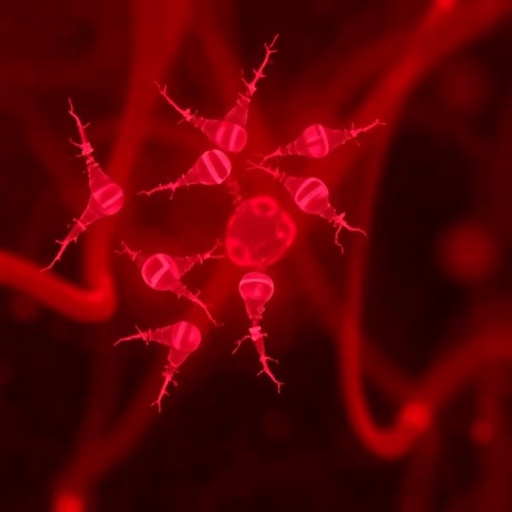 detecting-aneuploid-cells-in-cervical-samples