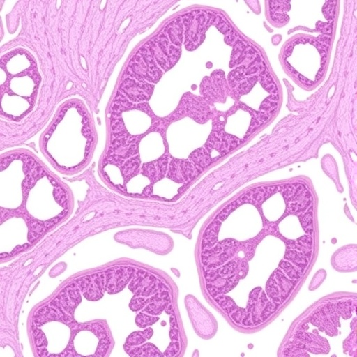 histogpt-creates-dermatopathology-reports-from-whole-slides