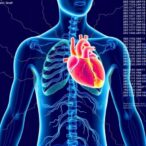 multi-organ-metabolome-links-age,-heart-risks