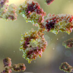 infinimmune’s-ai-model-glimpse-1-engineers-human-sourced-antibodies
