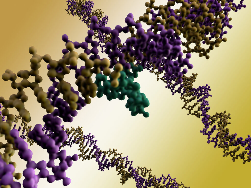 knot-a-problem:-mechanism-found-for-dna-loop-control