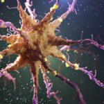 movement-mobilizes-microglia,-astrocytes-to-protect-against-alzheimer’s-in-snrna-seq-mice-study