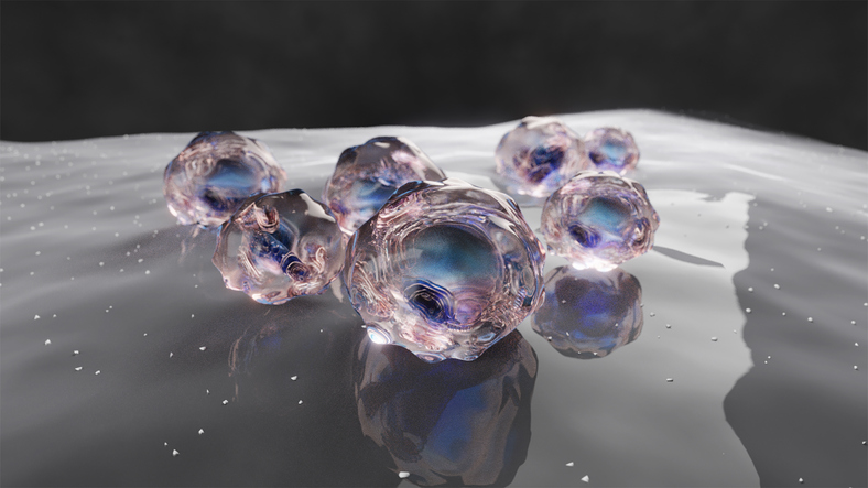 rapid-formation-of-vascular-organoids-from-ipscs-via-tf-activation