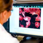 scientists-are-turning-back-the-clock