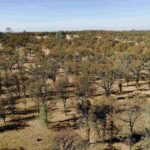 consistent-ecosystem,-distinct-solutions