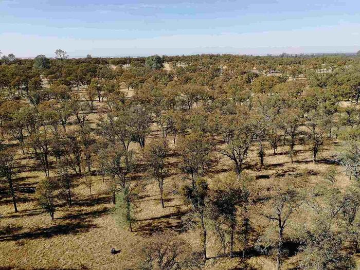 consistent-ecosystem,-distinct-solutions