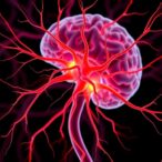 nerve-fiber-changes-in-parkinson’s-and-atypical-parkinsonism