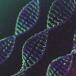 second-dmd-patient-dies-after-treatment-with-sarepta-gene-therapy