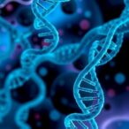 rare-genetic-disorder-raises-cancer-risk-by-blocking-repair-of-chemo-damaged-dna
