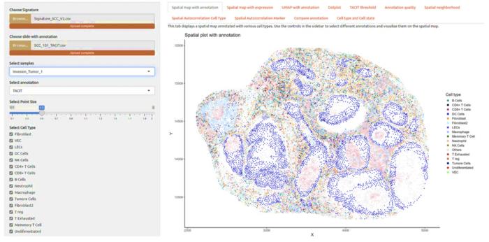 revolutionary-tacit-algorithm-heralds-new-era-in-cancer-diagnosis-and-treatment