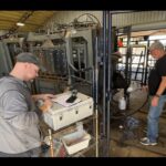 ai-techx-secures-grant-to-revolutionize-cattle-disease-detection
