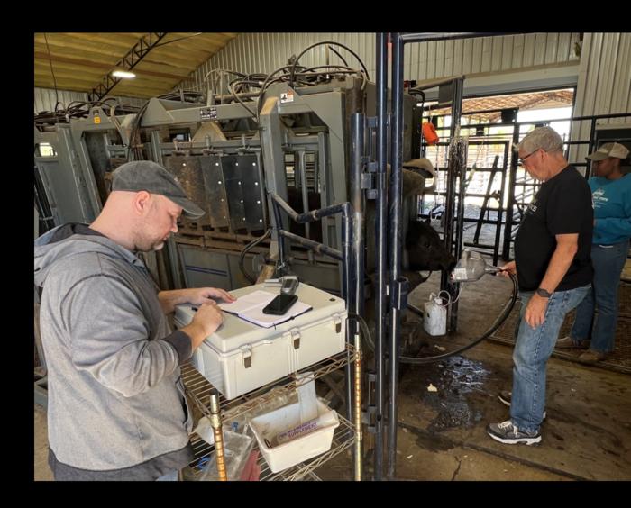 ai-techx-secures-grant-to-revolutionize-cattle-disease-detection
