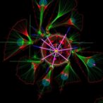 new-technique-breaks-fluorescence-microscopy-resolution-barrier