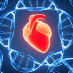 lilly-to-acquire-verve-therapeutics-for-up-to-$1.3b