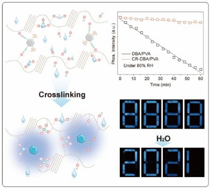phosphorescent-films-with-enhanced-humidity-resistance-developed-via-crosslinking-reaction