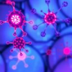 single-cell-study-uncovers-immune-variability-in-sclerosis