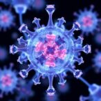 mount-sinai-and-cancer-research-institute-collaborate-to-enhance-immunotherapy-outcomes