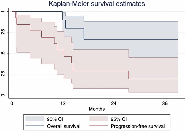 rare-pancreatic-cancer-patients-exhibit-remarkable-response-to-immunotherapy