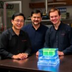 rice-scientists-leverage-vacuum-fluctuations-to-develop-advanced-quantum-materials