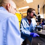 nebraska-scientists-create-cephalopod-inspired-adaptive-skin-for-robots