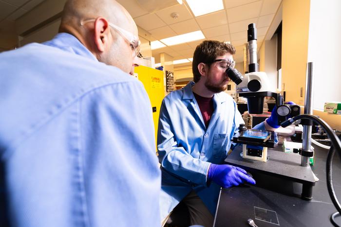 nebraska-scientists-create-cephalopod-inspired-adaptive-skin-for-robots