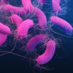 biofilm-formation-by-microbial-pathogens-inhibited-by-patterns-on-medical-device-plastics