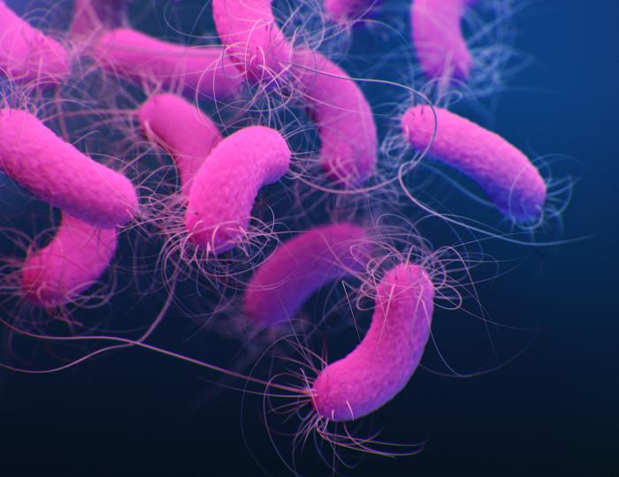 biofilm-formation-by-microbial-pathogens-inhibited-by-patterns-on-medical-device-plastics