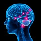 personalized-deep-brain-stimulation-boosts-parkinson’s-gait