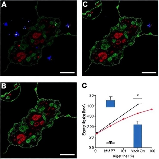 dual-viral-bacterial-trigger-activates-mmp7-in-biliary-atresia