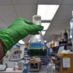 reliving-a-pivotal-milestone-in-evolutionary-history