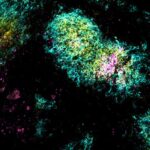 breakthrough-supercharged-vaccine-promises-strong-protection-with-a-single-dose
