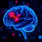 single-cell-insights-into-ptsd-brain-changes