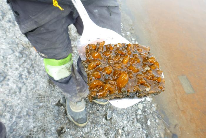 early-life-might-have-survived-ice-age-in-meltwater-ponds,-study-suggests