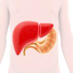 serum-uric-acid-ratio-linked-to-childhood-fatty-liver