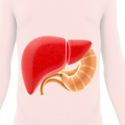 serum-uric-acid-ratio-linked-to-childhood-fatty-liver