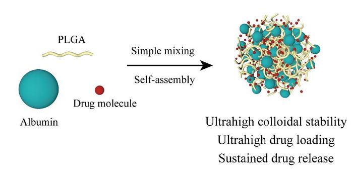innovative-nanoparticles-enable-safer,-more-efficient-drug-delivery