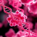 tracking-cancer-drug-resistance-using-genetic-barcoding