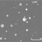 lysine-acetylation-regulates-osect3-in-rice-cold-response