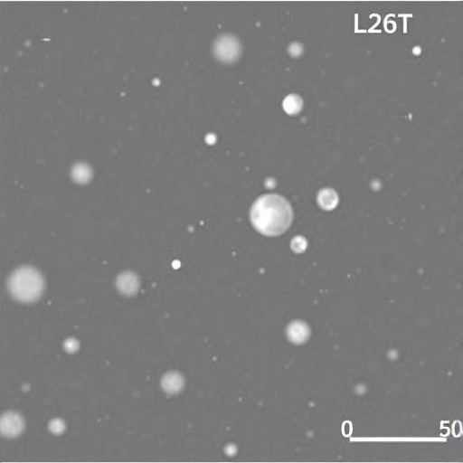 lysine-acetylation-regulates-osect3-in-rice-cold-response