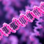 new-translational-read-through-drugs-for-fanconi-anemia