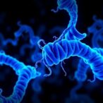 targeting-nrf2-hmox1-to-reverse-cisplatin-resistance