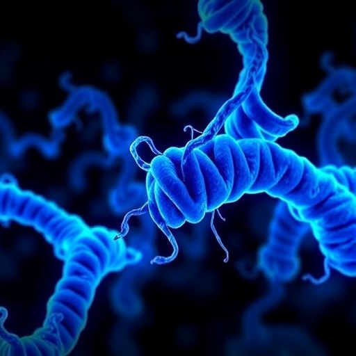 targeting-nrf2-hmox1-to-reverse-cisplatin-resistance