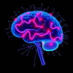 unlocking-parkinson’s-secrets-through-digital-language-analysis