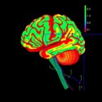 high-density-brain-wide-neural-recording-in-primates